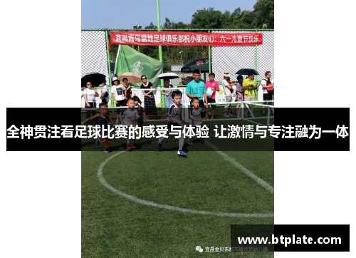 全神贯注看足球比赛的感受与体验 让激情与专注融为一体